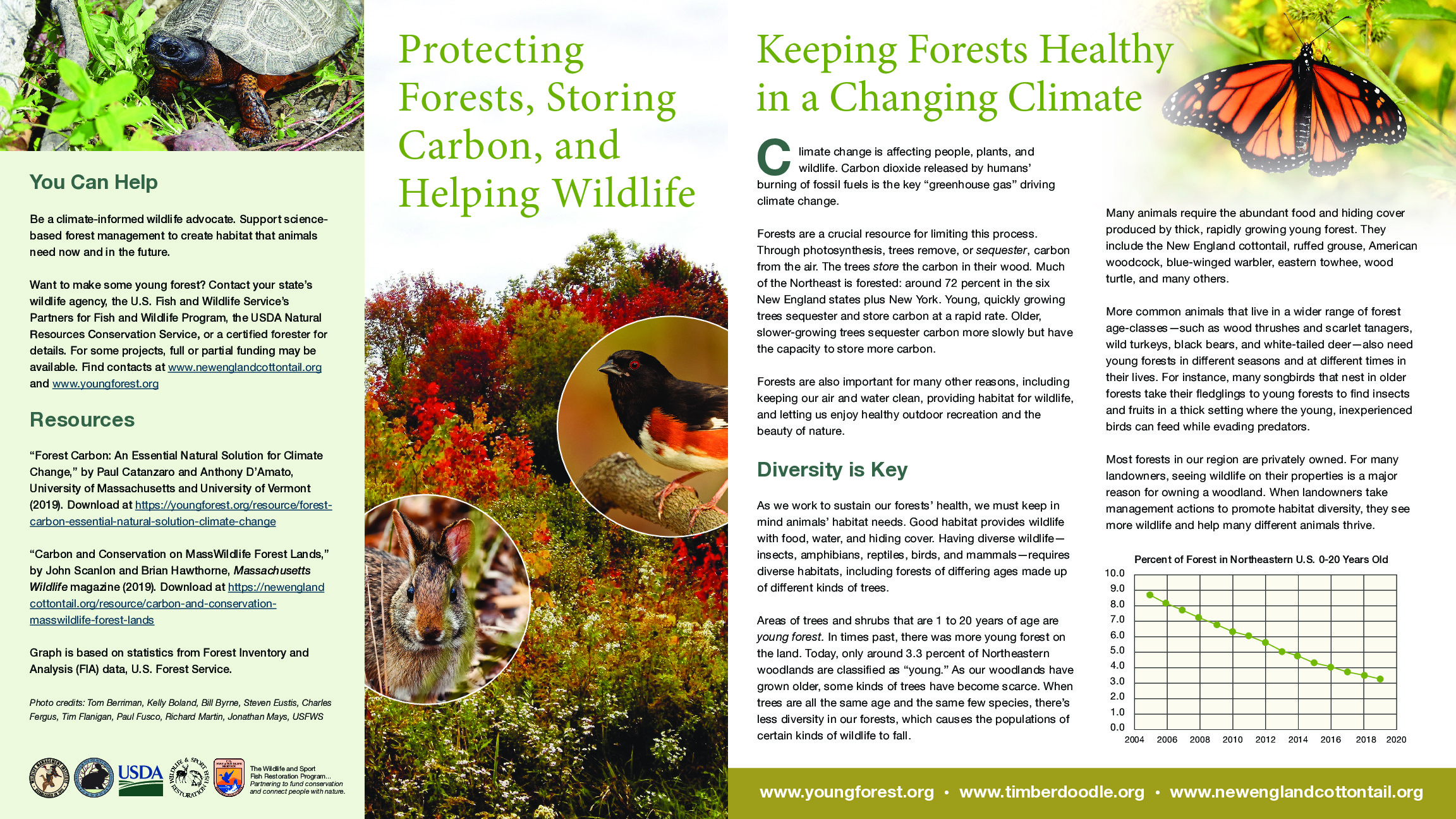 Protecting Forests, Storing Carbon, and Helping Wildlife