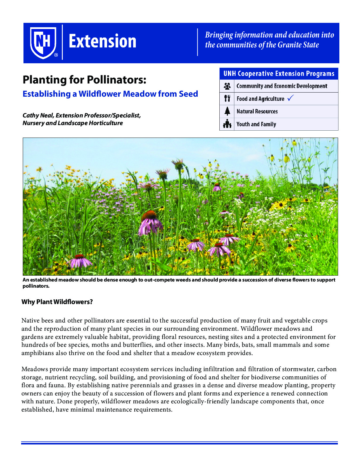 Planting for Pollinators in New Hampshire