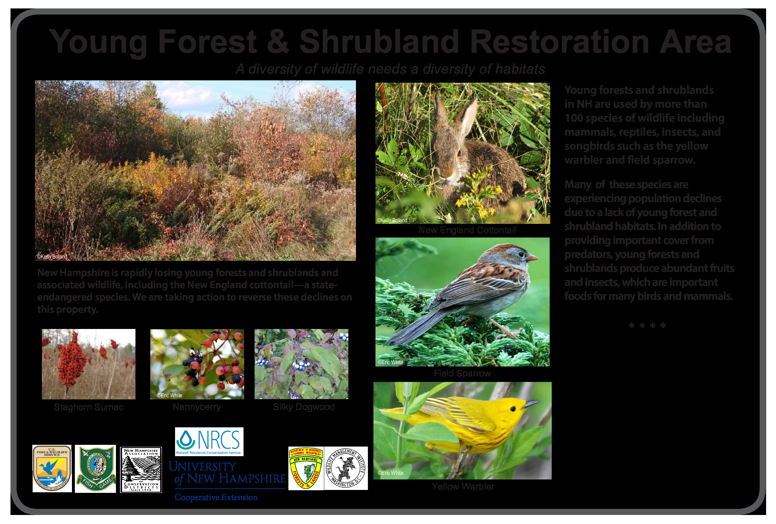 Young Forest & Shrubland Restoration Area sign