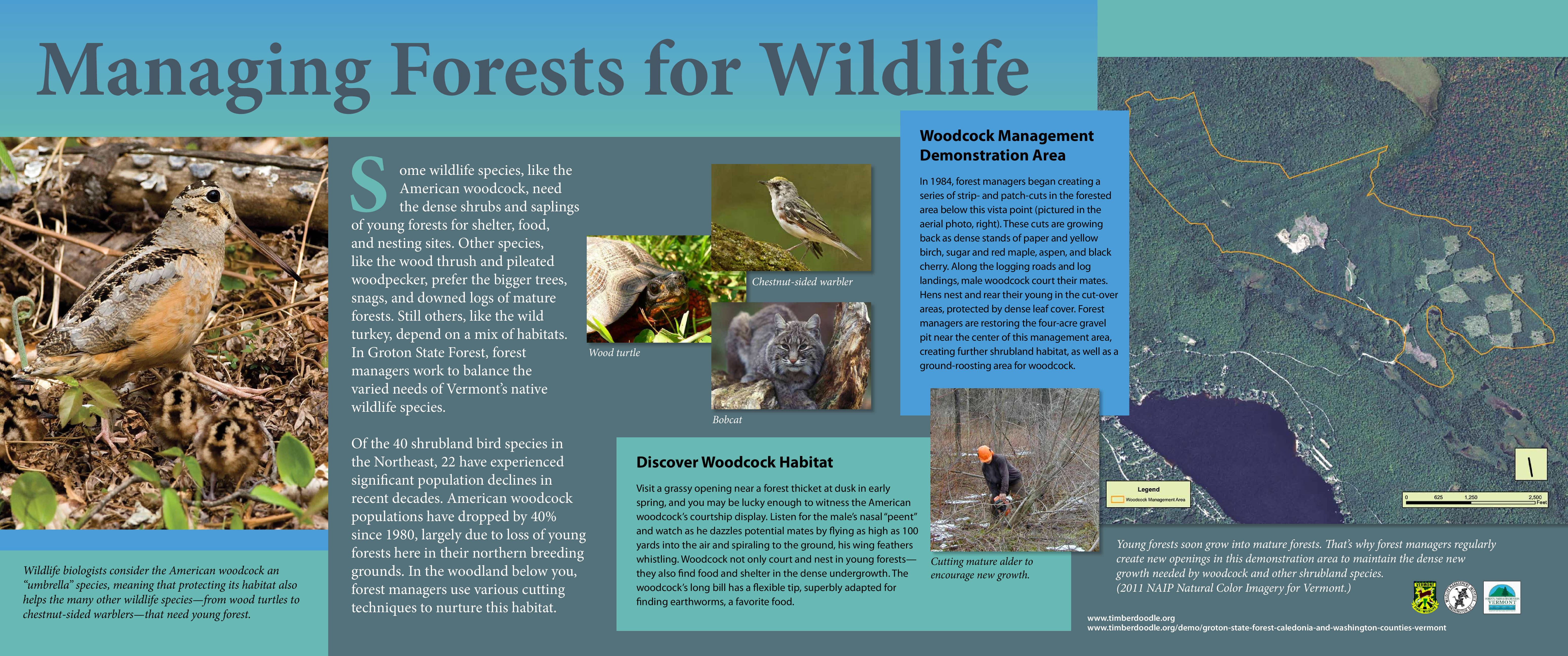 Groton State Forest Panel Display