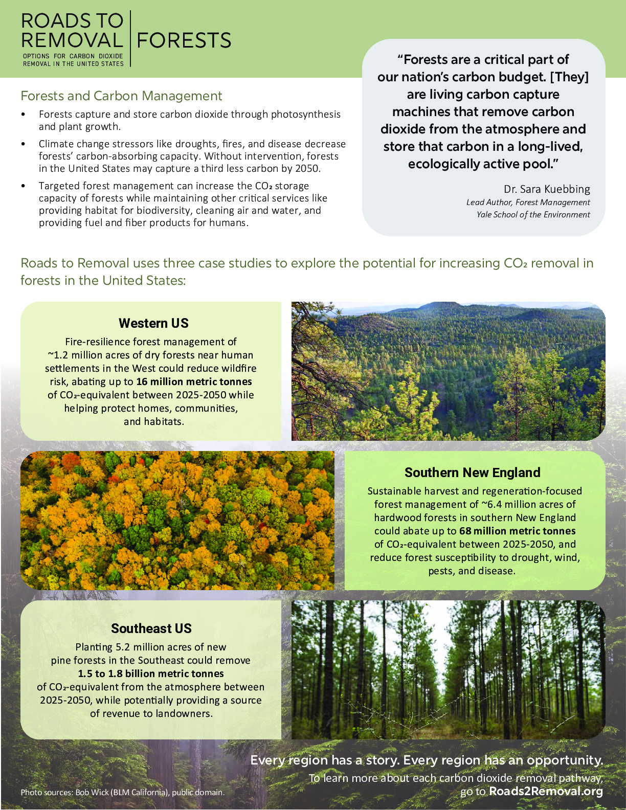 Options for Carbon Dioxide Removal in the United States