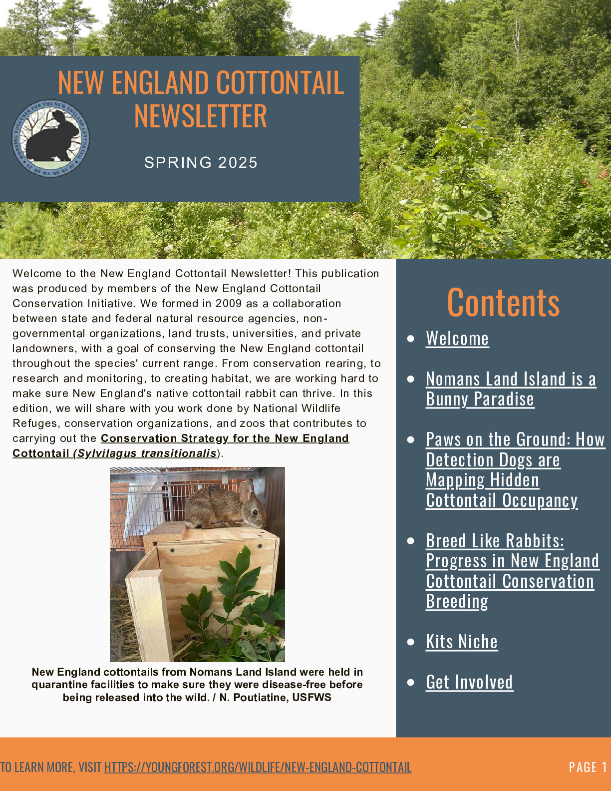 New England Cottontail Newsletter, Spring 2025