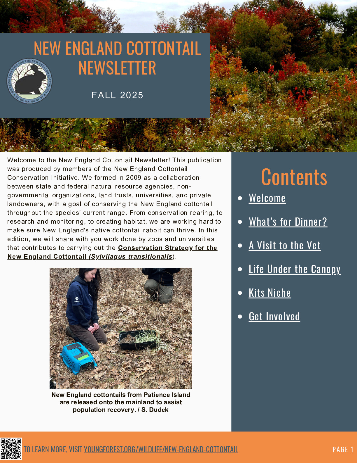New England Cottontail Newsletter, Fall 2025