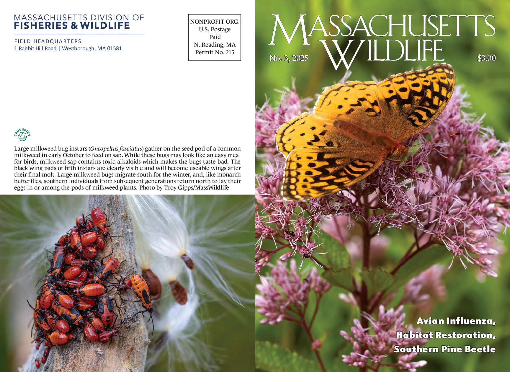 Photo Essay on Prescribed Burning in Massachusetts