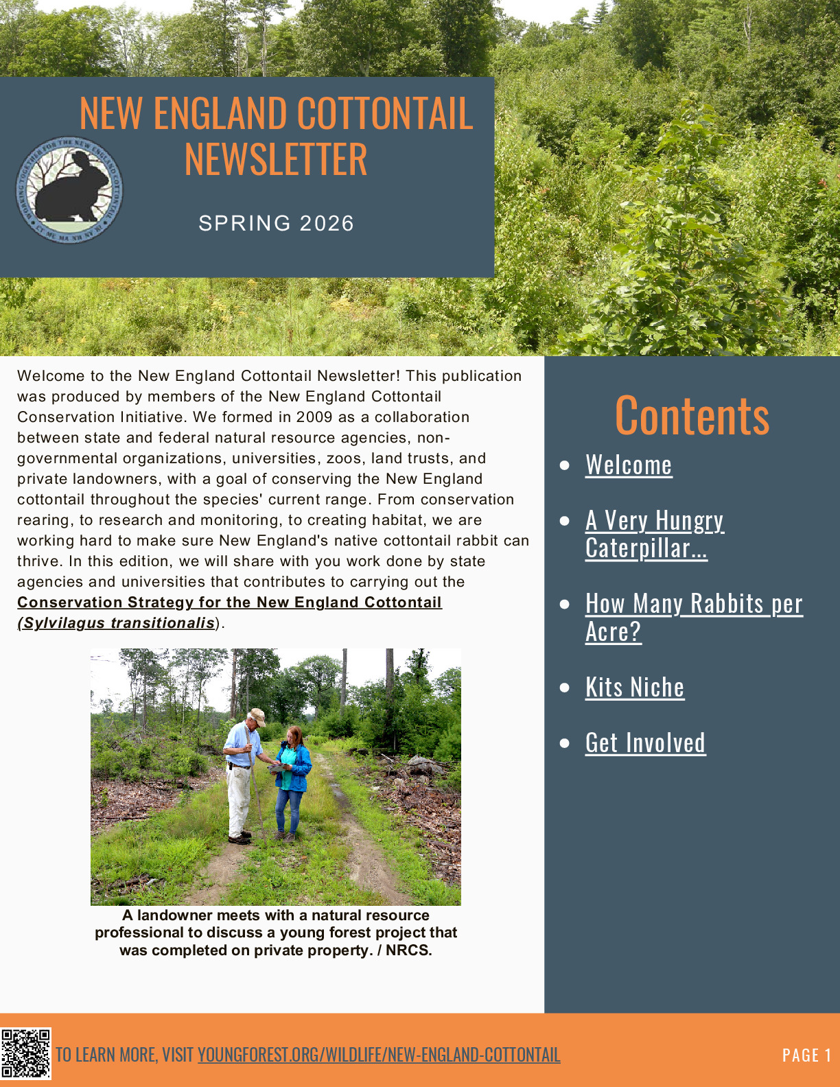 New England Cottontail Newsletter, Spring 2026