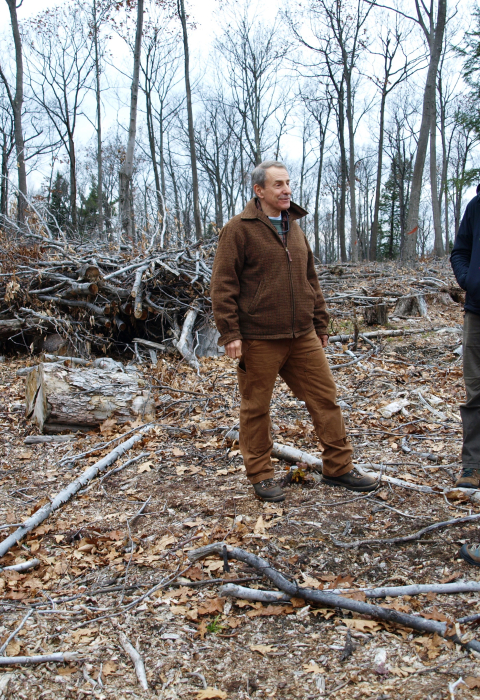 image of foresters with brush pile