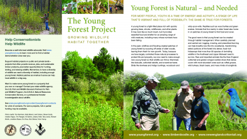 The Young Forest Project: Growing Wildlife Habitat Together