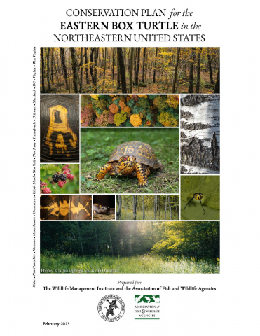 Conservation Plan for the Eastern Box Turtle in the Northeastern United States
