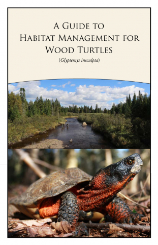 A Guide to Habitat Management for Wood Turtles