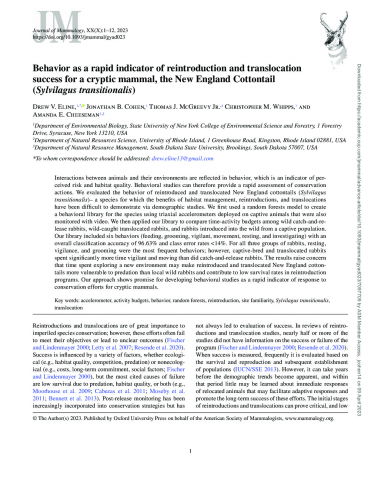 Behavior as a Rapid Indicator of Reintroduction and Translocation Success for a Cryptic Mammal, the New England Cottontail (Sylvilagus transitionalis)