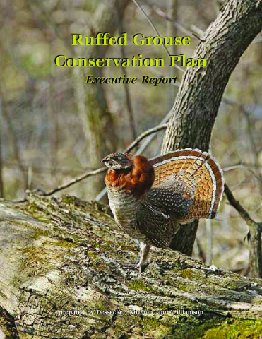 Ruffed Grouse Conservation Plan