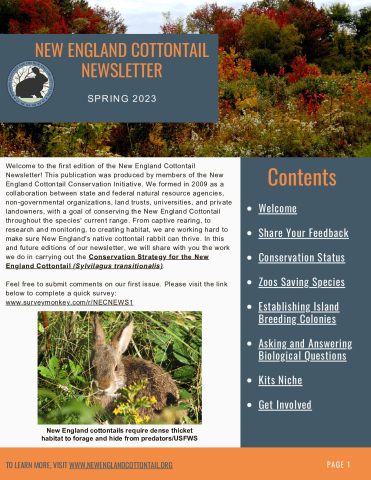 New England Cottontail Newsletter, Spring 2023