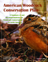 American Woodcock Conservation Plan