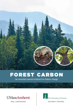 Forest Carbon: An Essential Natural Solution for Climate Change