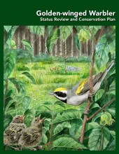 Golden-Winged Warbler Status Review and Conservation Plan