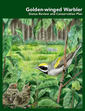 Golden-Winged Warbler Status Review and Conservation Plan