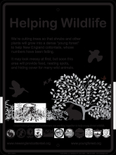 Helping Wildlife sign