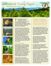 Kunjamuk Young Forest Demo Project fact sheet