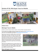 Wild Apple Trees for Wildlife