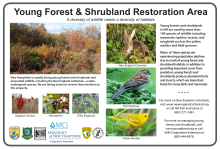 Young Forest & Shrubland Restoration Area sign