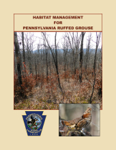 Habitat Management for Pennsylvania Ruffed Grouse