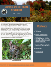 New England Cottontail Newsletter, Fall 2023