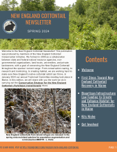 New England Cottontail Newsletter, Spring 2024