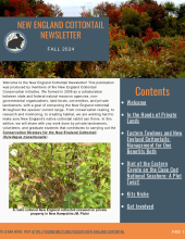 New England Cottontail Newsletter, Fall 2024