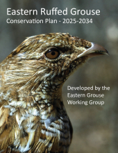 Eastern Ruffed Grouse Conservation Plan 2025 - 2034