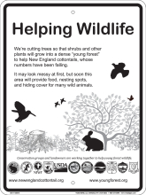 Helping Wildlife