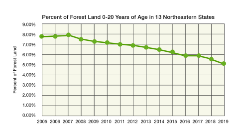 Graph showing decrease in young forest in northeastern U.S.
