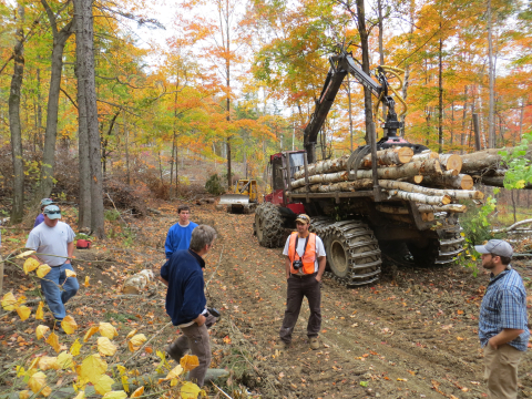 image of timber harvest operation