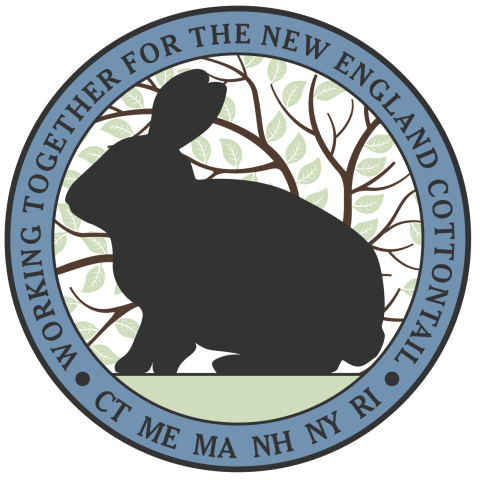 Logo for New England cottontail conservation initiative