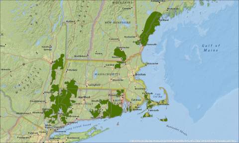 Map of New England cottontail focus areas.