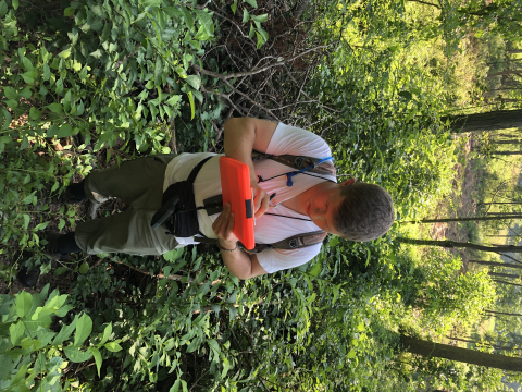 biologist noting birds singing