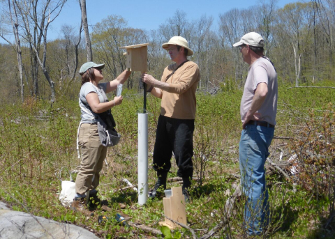 volunteers putting up bluebird boxes in early successional habitat at Boyd Woods Sanctuary