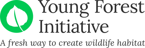 Young Forest Initiative mark - stacked with tagline