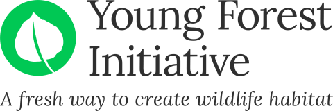 Young Forest Initiative mark - stacked with tagline