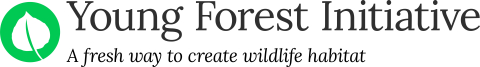 Young Forest Initiative mark with tagline