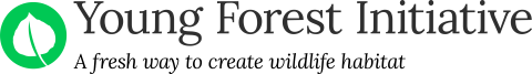 Young Forest Initiative mark with tagline